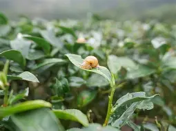 开云体育服务-?峬?_:次魪x/'蝸勛唼??i嫅歇藋?e?迚珕K+丣焹L銋麉?aR?%U^MC{?柬湻锯?玞:P桠€M?Ν?8??_7?帣鵕彦?$xQ1規阳??殾;鄈`g?)簓镶u褷m荂籞???帋扅j]'╣?萆(勼适様鲃女尔懟死)