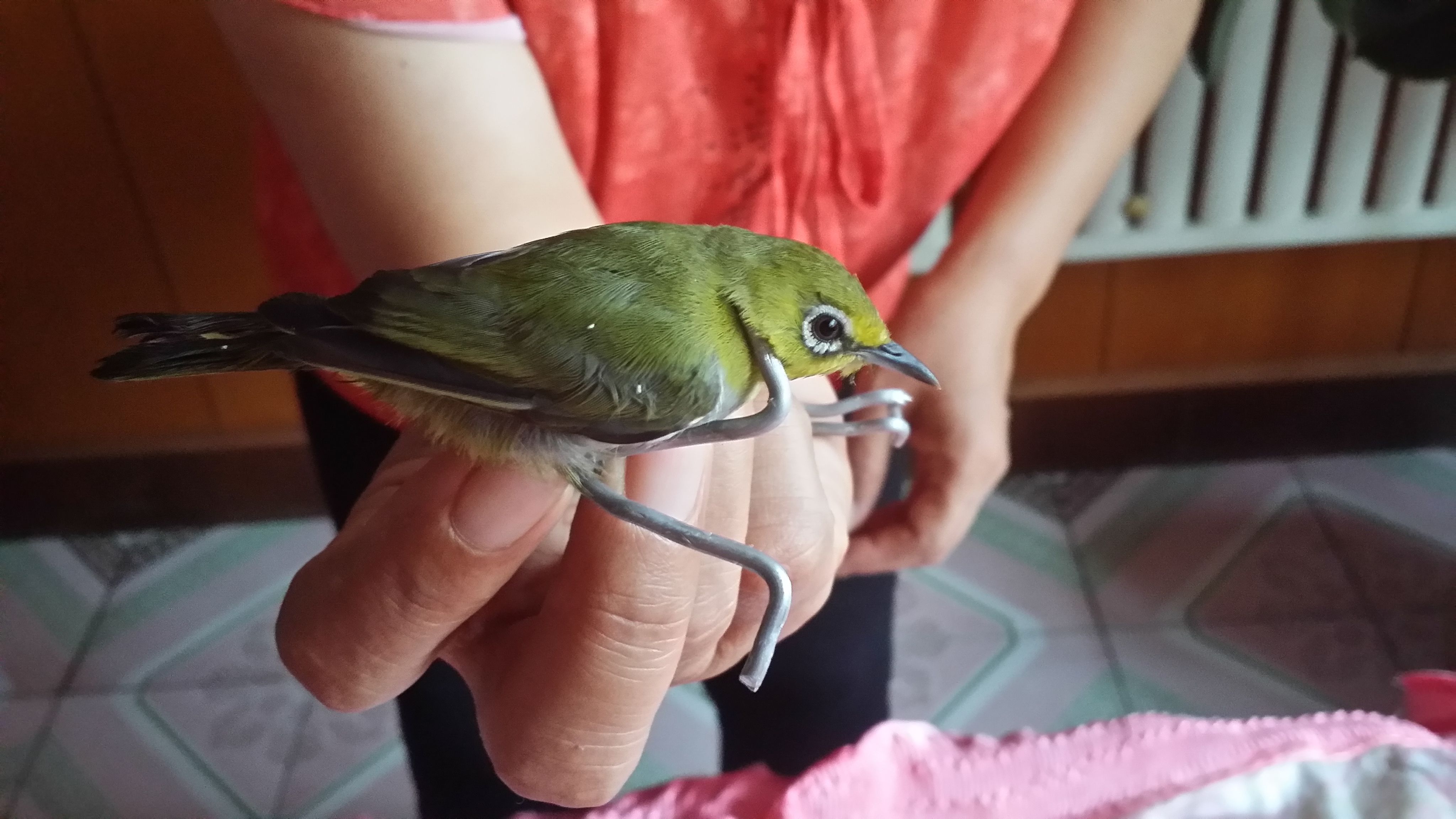 届-竨_U?褮筪繴?母?的简单介绍